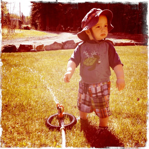 Sam and the sprinkler