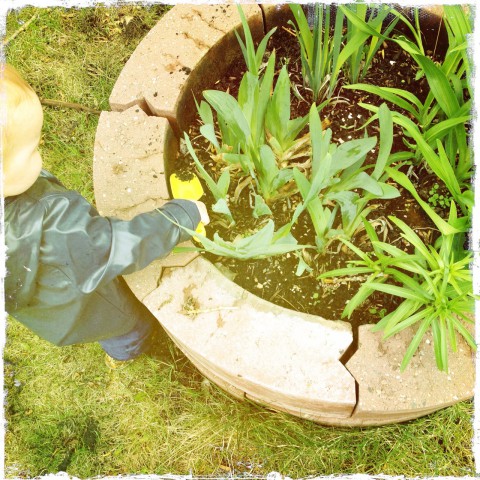 Sam digging in garden