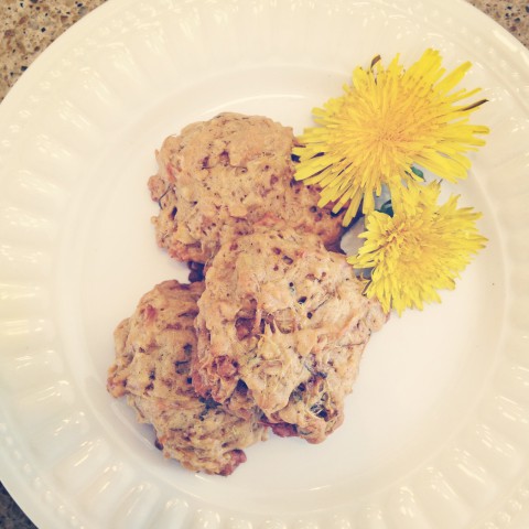 Cookies made from dandelion petals. Yummy, but next time I'm going to add some raisins.