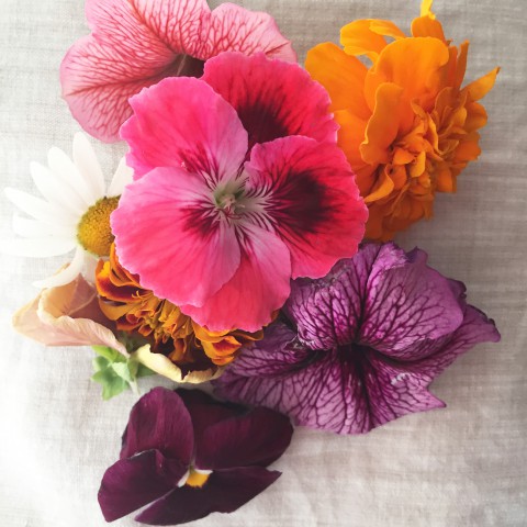 DIY Fabric Flower Printing ~ blog post tutorial by Bubblegum Sass