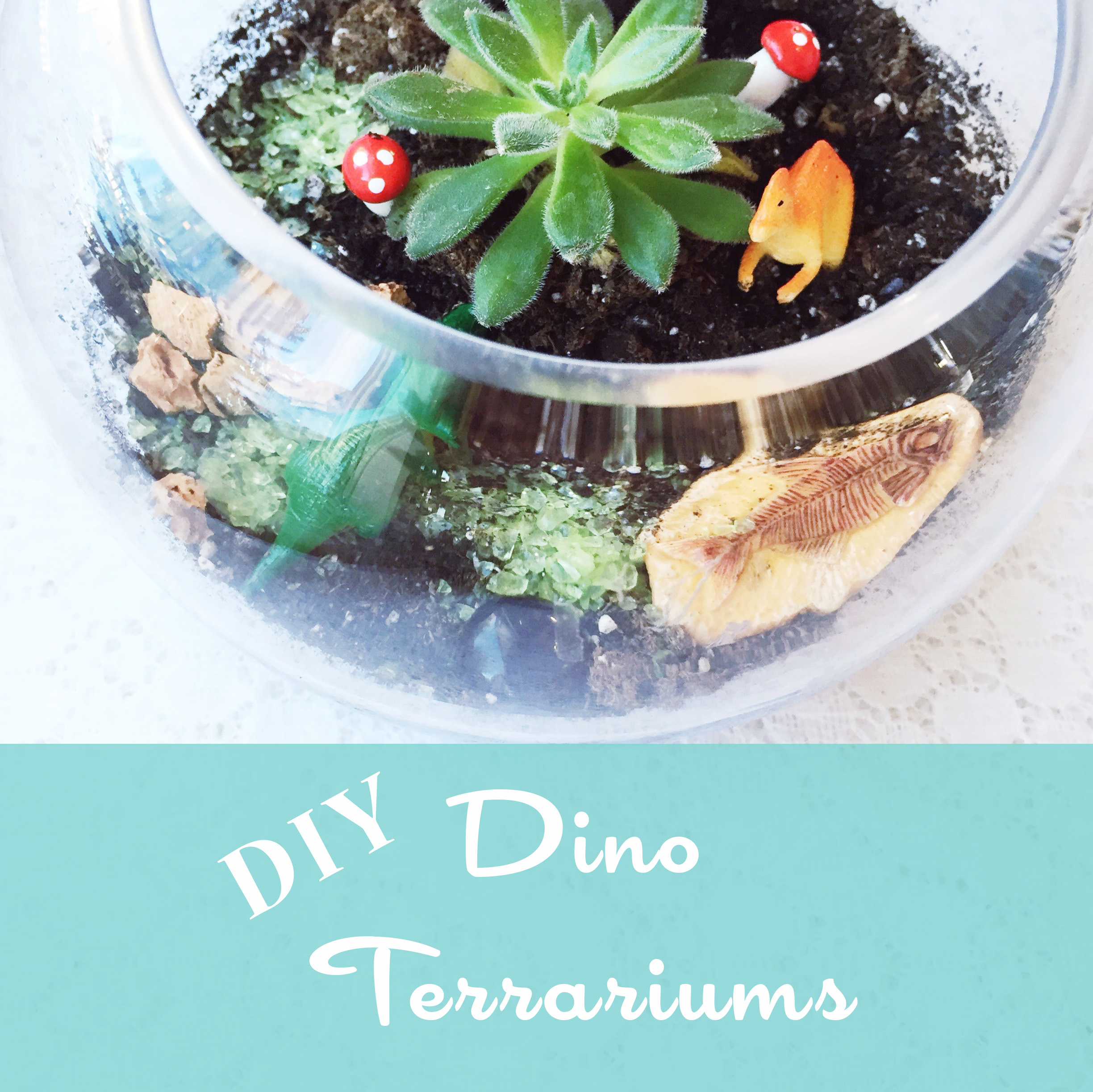 DIY Dino Terrariums ~ Succulent Terrarium Tutorial ~ Kid's Dino Birthday Party