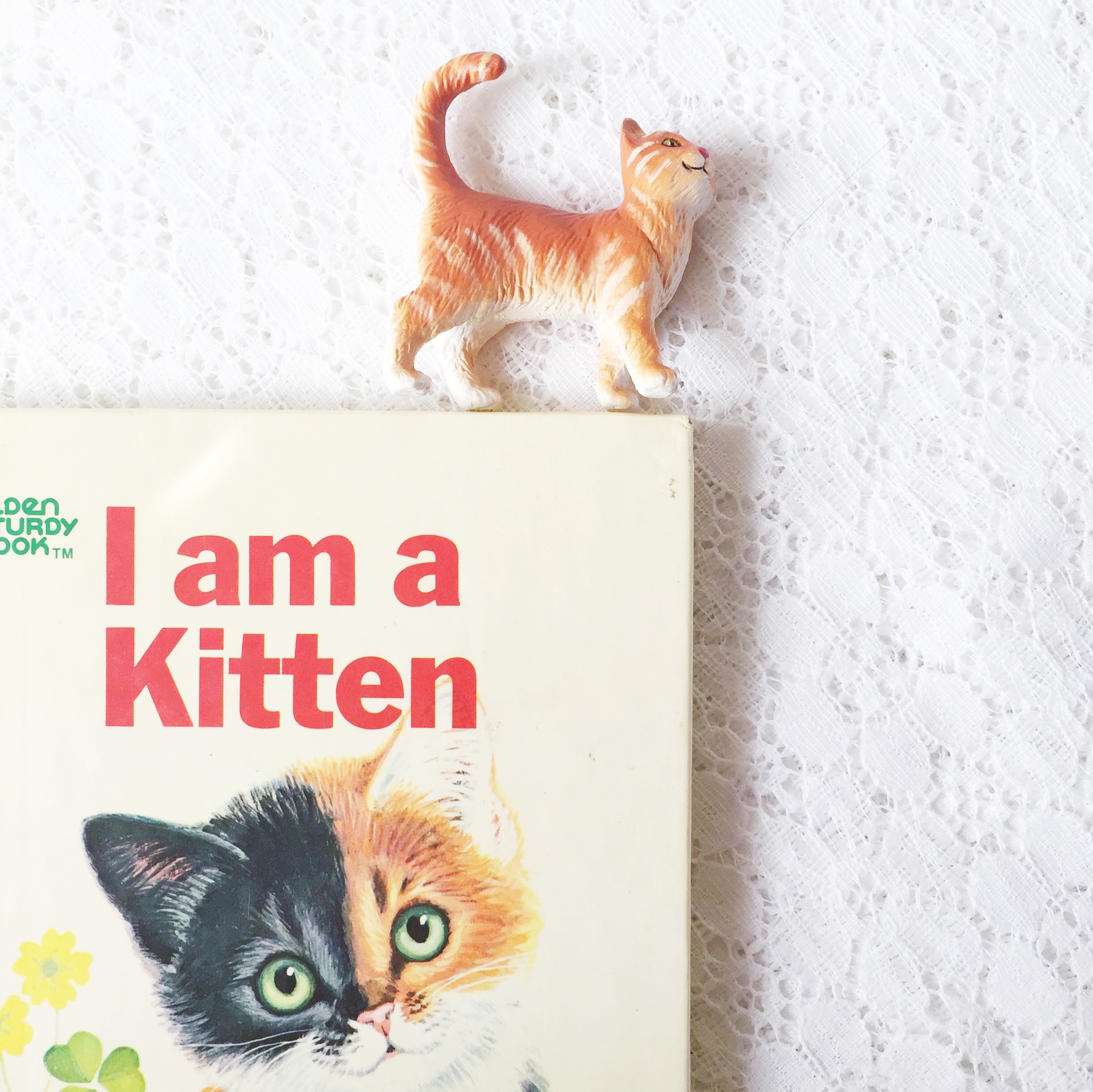 Reading Time: Our Fave Cat Books ~ Good Reads for Kids