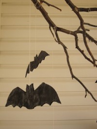 Cardboard bats