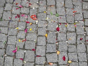 Flower petals on cobblestone
