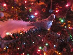 Christmas bird ornament