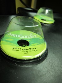 AeroGarden Basil