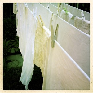 Diapers on Clothesline