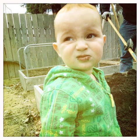 Sam eating dirt