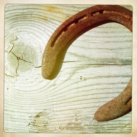 Rusty horseshoe