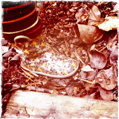 Sam's rubber boots