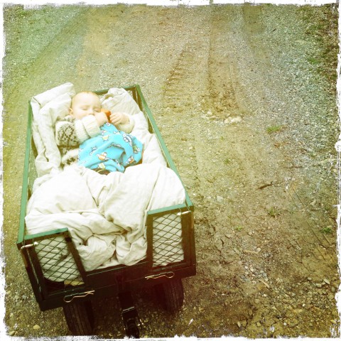 Sam in the wagon