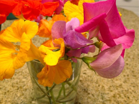 Fresh cut flowers from the garden