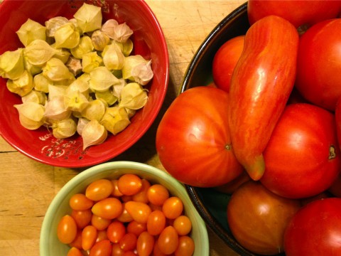 Late veggie garden harvest