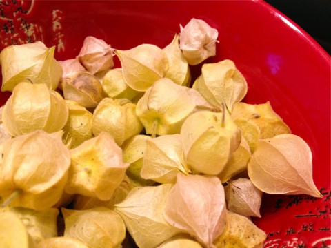 Ground cherries