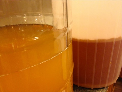 Homemade apple cider