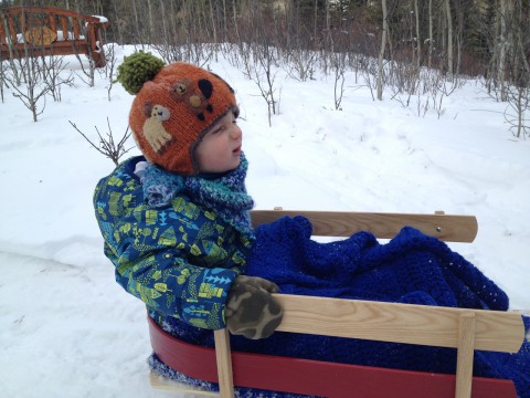 Sam sledding at cabin