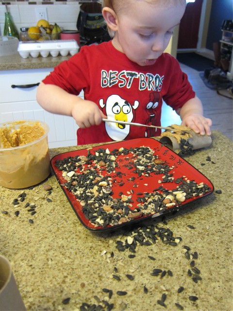 DIY Bird Seed Roll By Bubblegum Sass