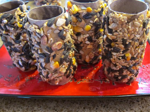 Completed DIY Bird Seed Rolls By Bubblegum Sass