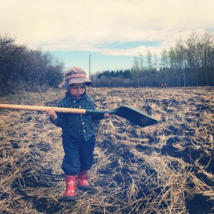 Happiness By the Acre Tree Planting