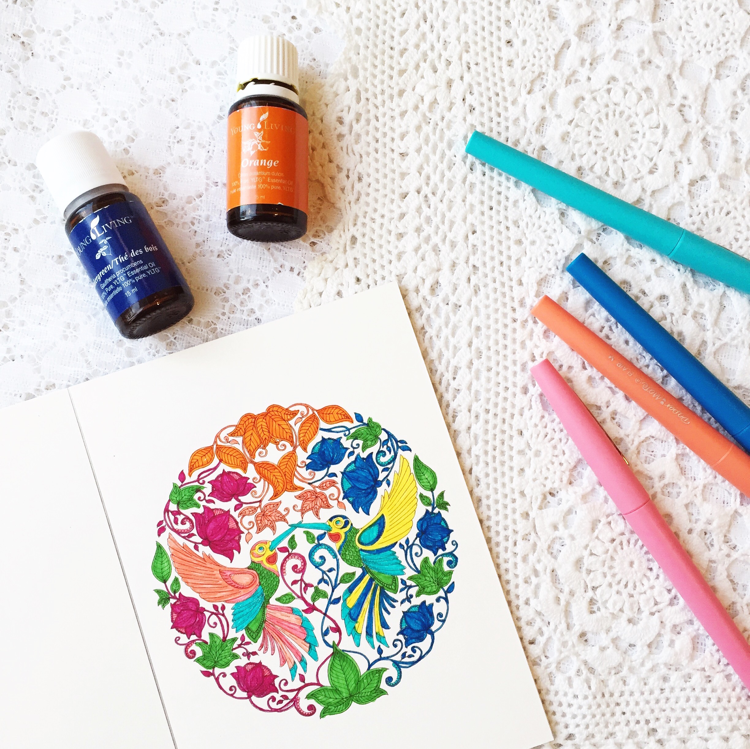 Self-Care in Practice: Adult Coloring Book Therapy ~ By Bubblegum Sass