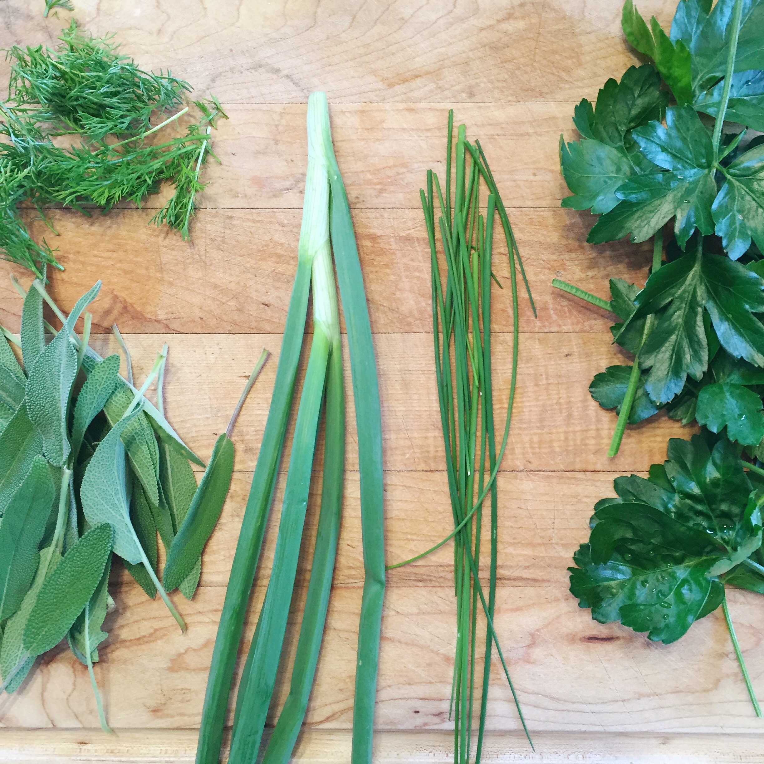 Bouquet Garni – Sass!