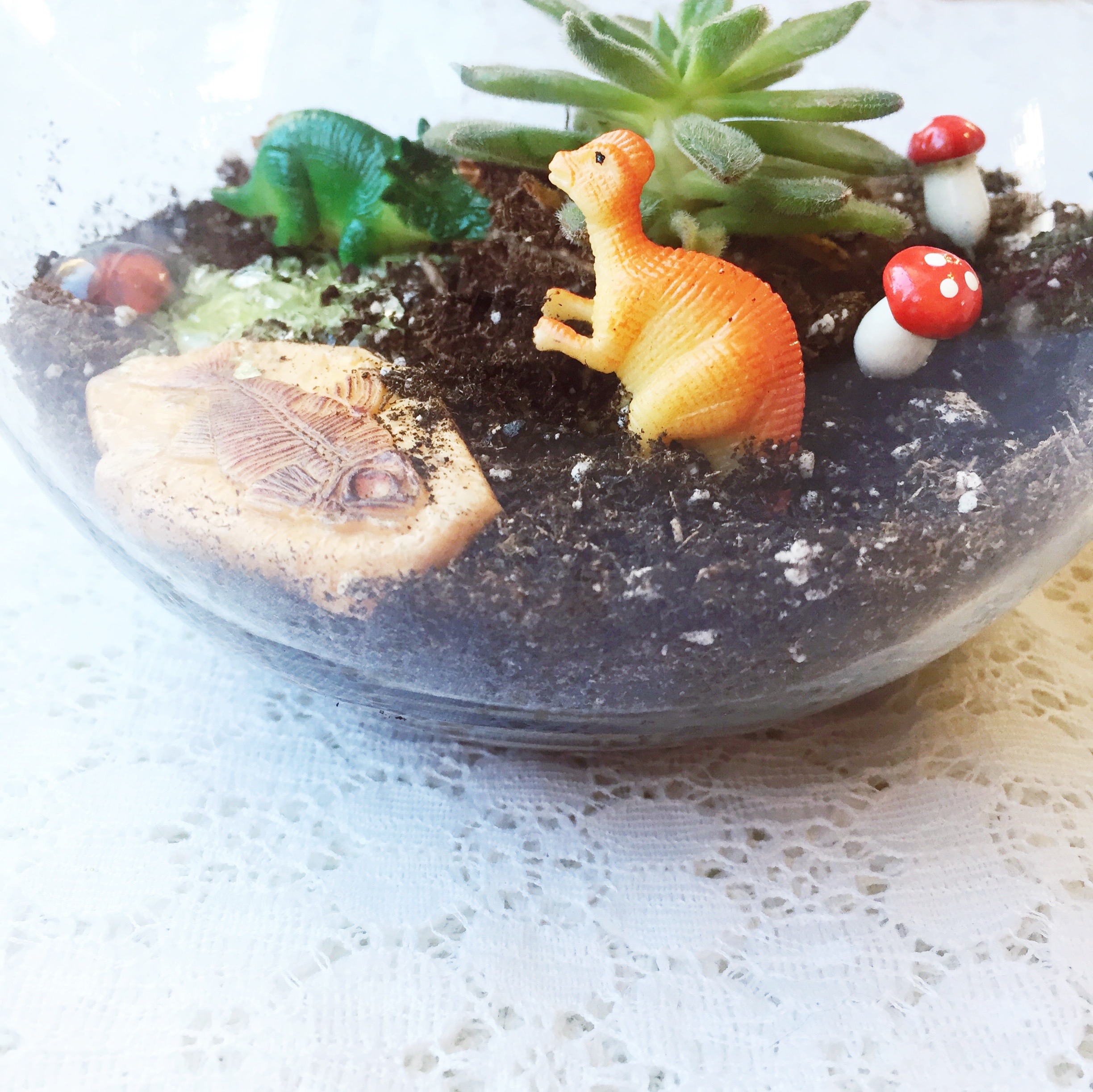 DIY Dino Terrariums ~ Succulent Terrarium Tutorial ~ Kid's Dino Birthday Party