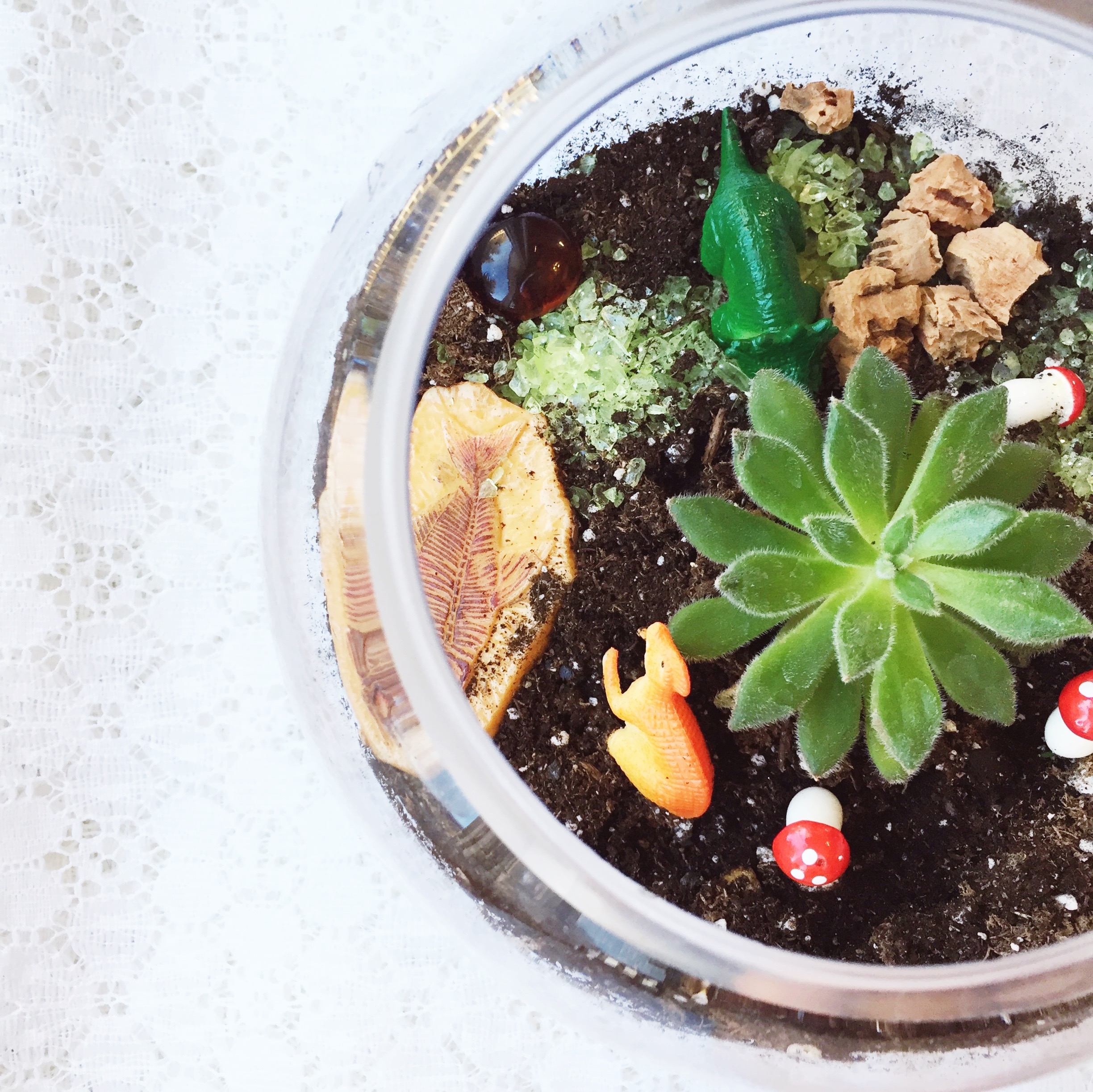 DIY Dino Terrariums ~ Succulent Terrarium Tutorial ~ Kid's Dino Birthday Party