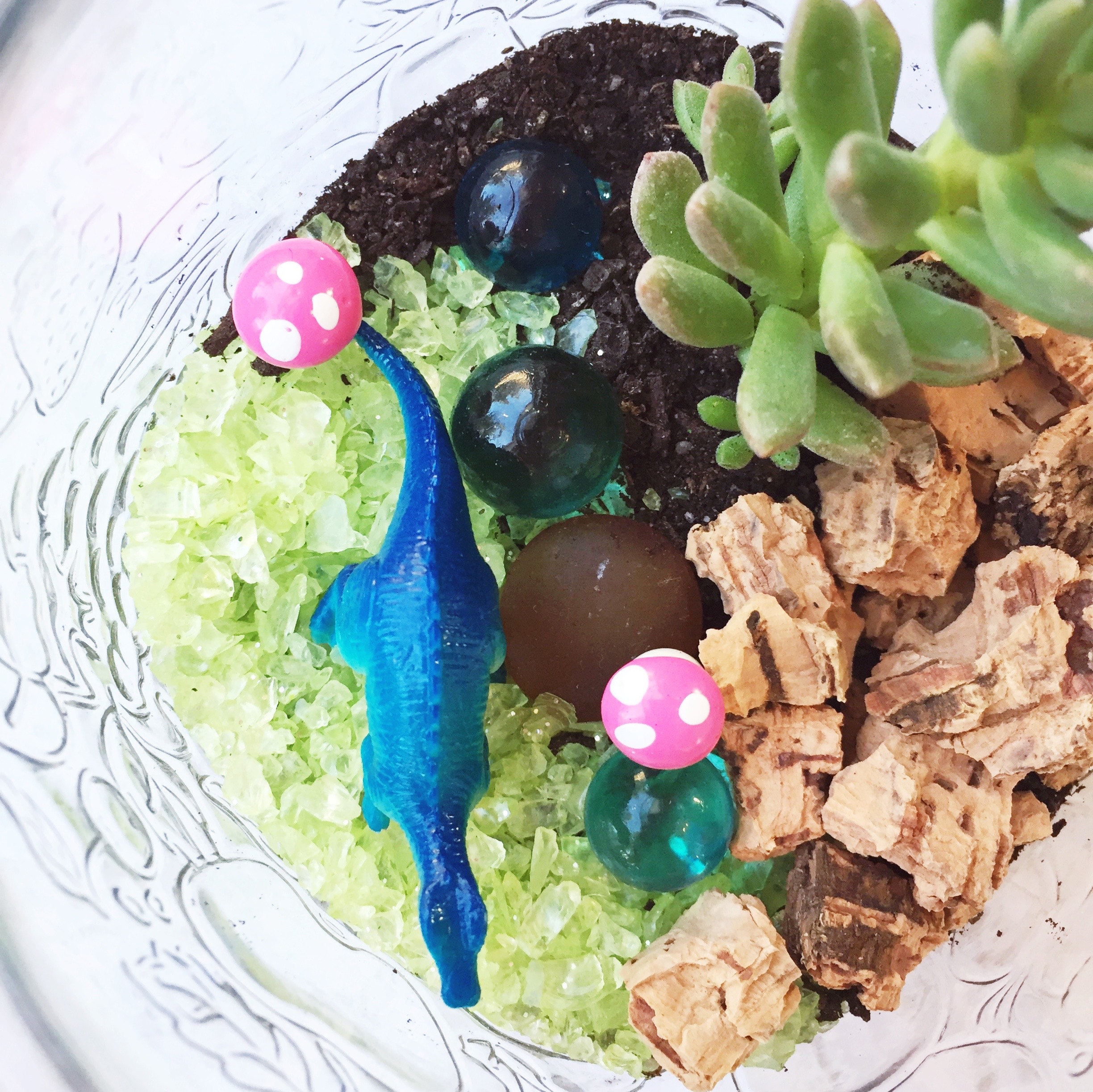 DIY Dino Terrariums ~ Succulent Terrarium Tutorial ~ Kid's Dino Birthday Party