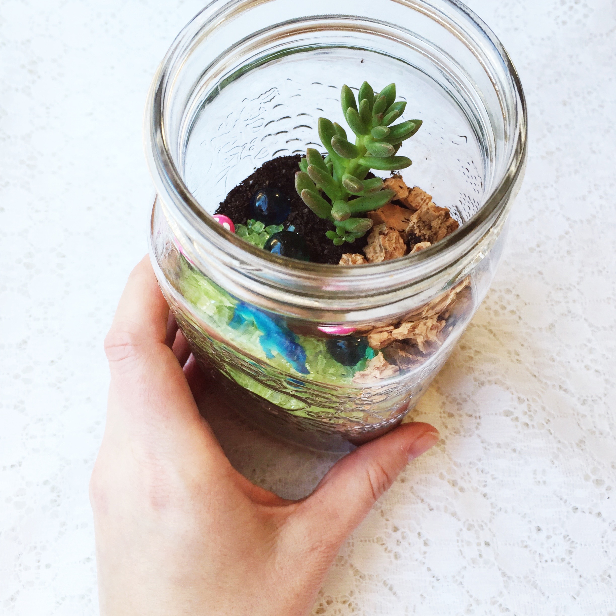 DIY Dino Terrariums ~ Succulent Terrarium Tutorial ~ Kid's Dino Birthday Party