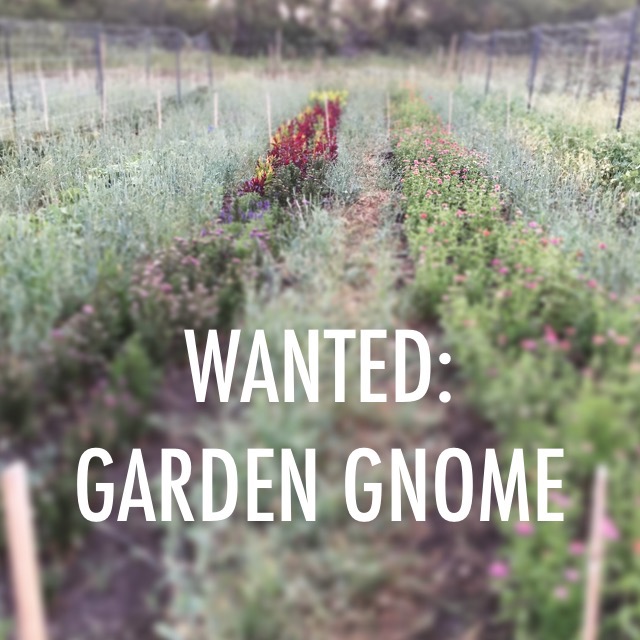 Wanted: Garden Gnome to work on a small Alberta farm